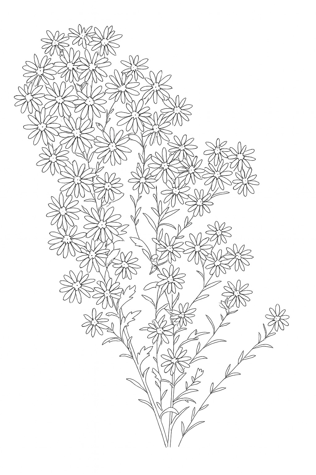 Black-and-white airy wildflower spray printable coloring page