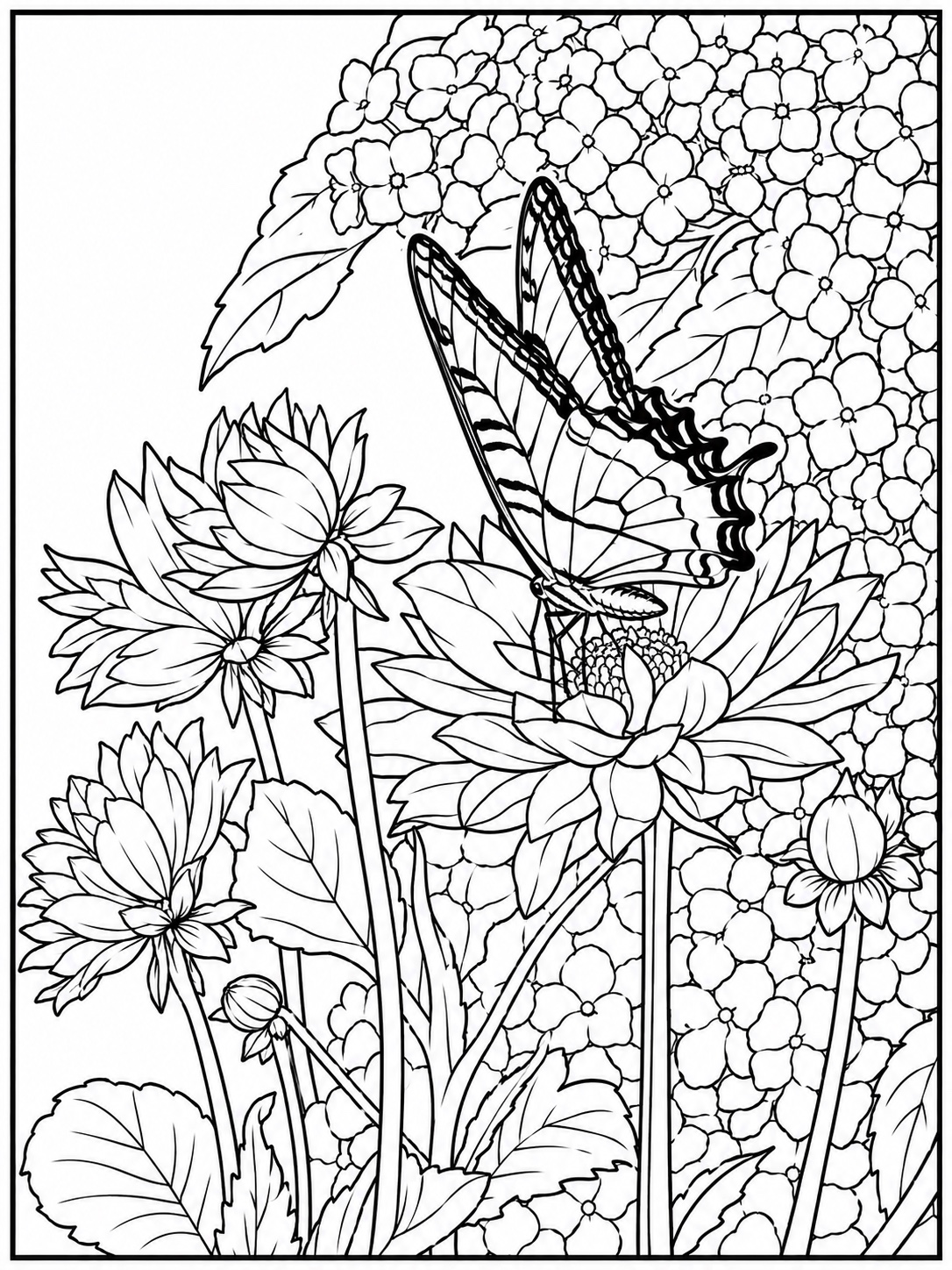 Butterfly resting on dahlias beside hydrangeas coloring page