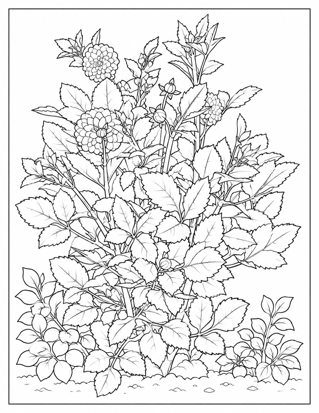 Tall dahlia plants with blooms and leafy garden foliage coloring page