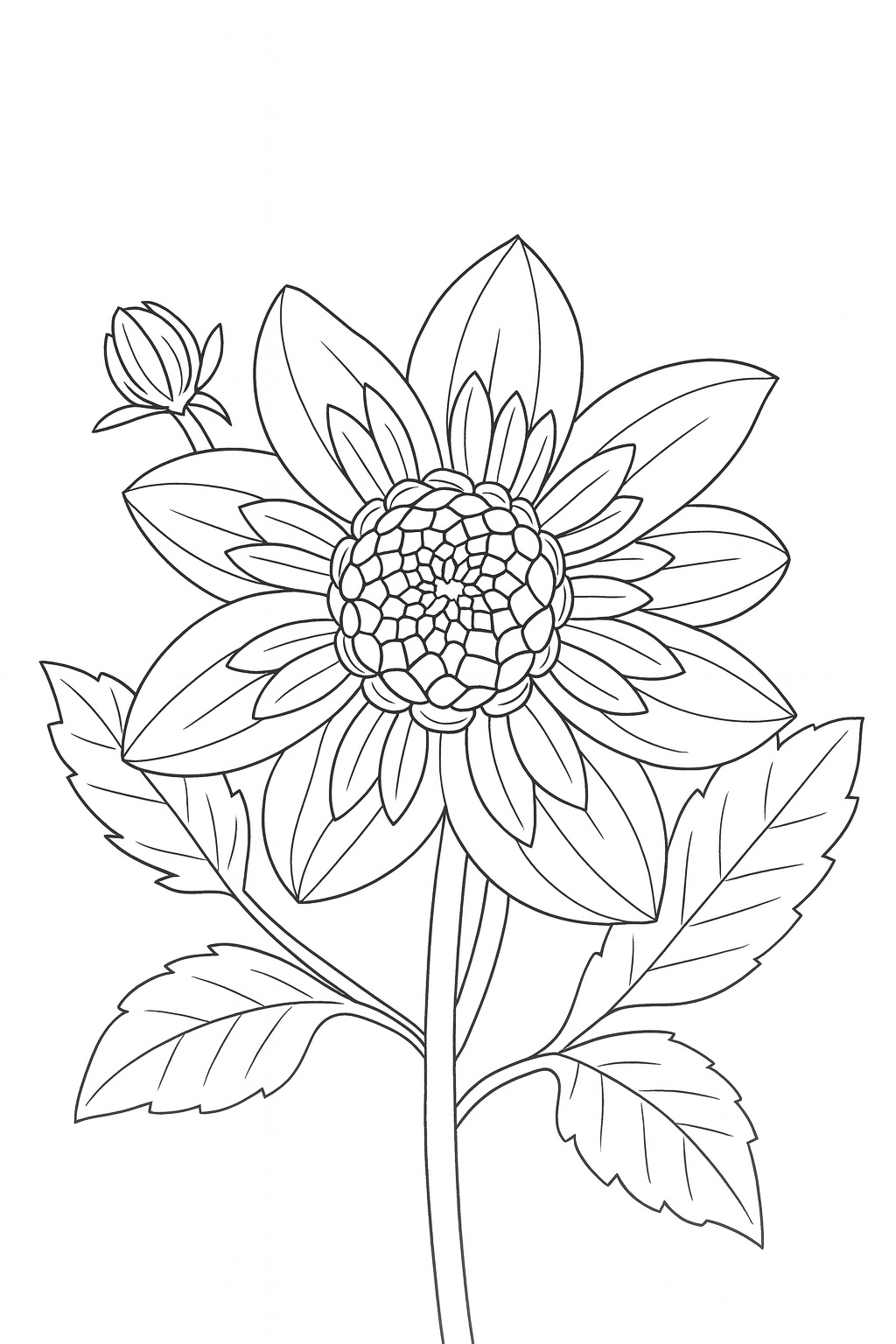 Black-and-white double zinnia stems printable coloring page