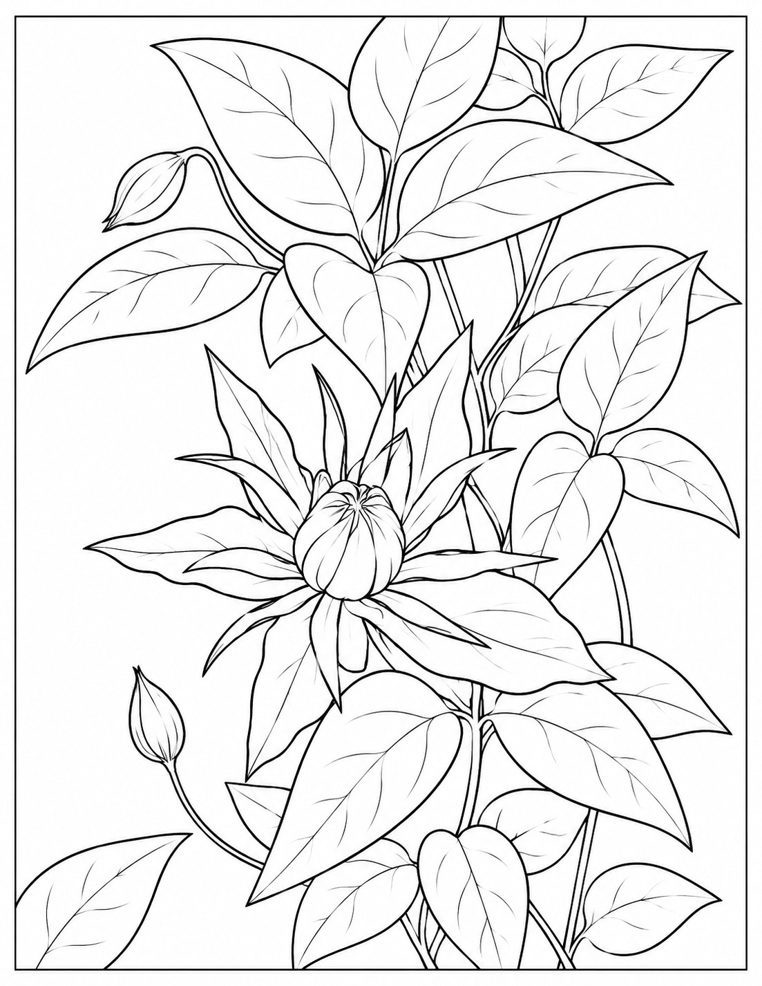 Large flower bud and smaller buds growing among leafy climbing vines coloring page