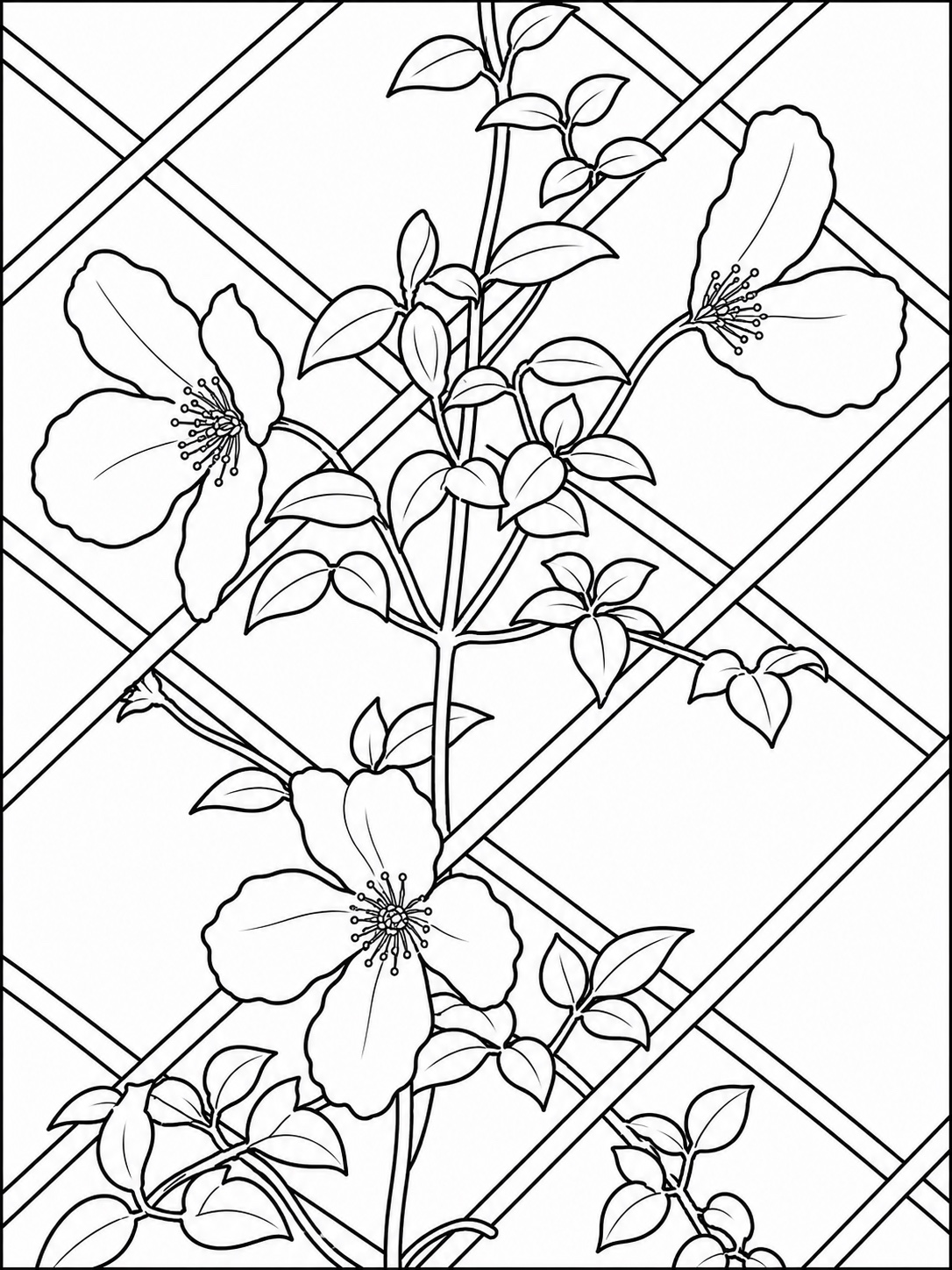 Black-and-white flowering vine climbing a garden trellis coloring page