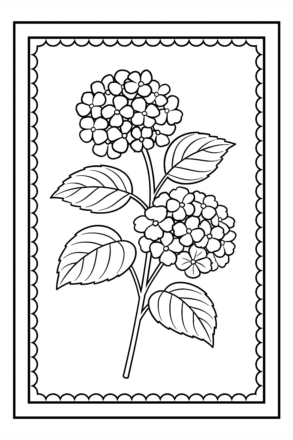 Black-and-white framed hydrangea study printable coloring page