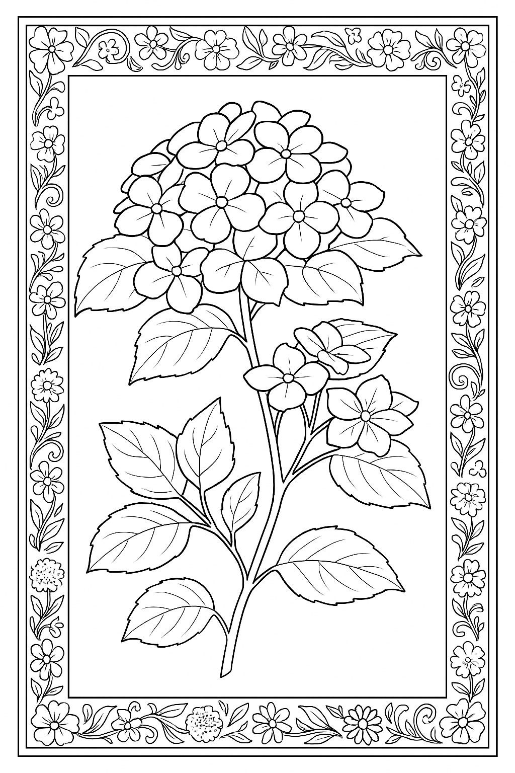 Black-and-white ornate hydrangea study printable coloring page