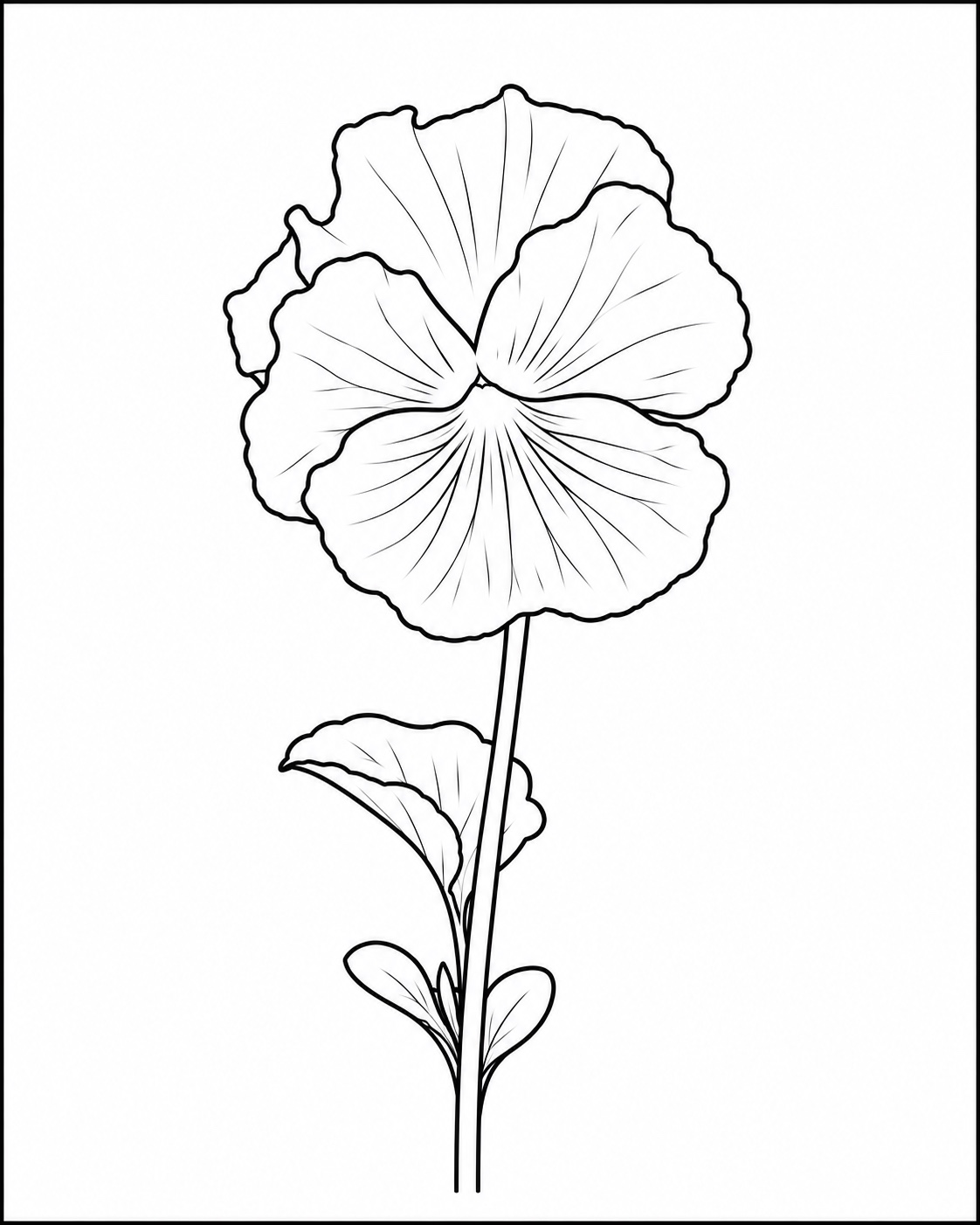 Single pansy botanical study coloring page